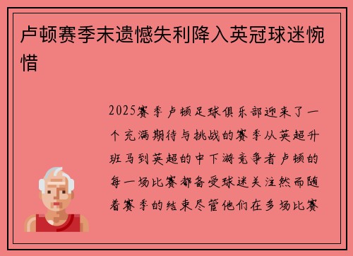 卢顿赛季末遗憾失利降入英冠球迷惋惜